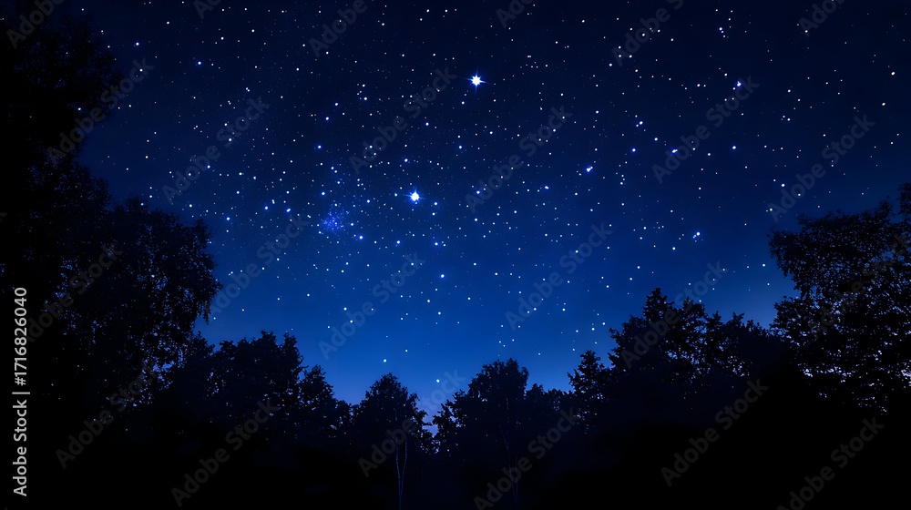 Naklejka premium Starry night sky over trees