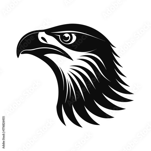 Elegant silhouette of a raptor bird in a soaring pose