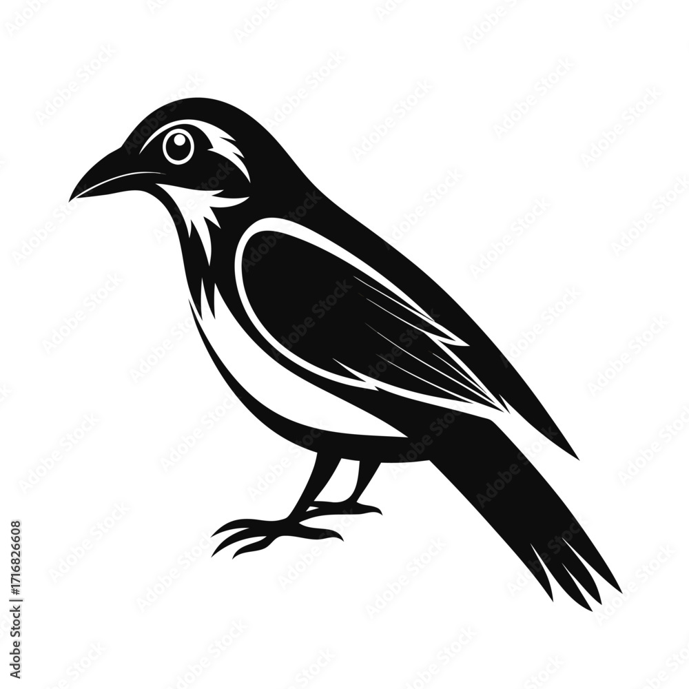 Fototapeta premium Graceful silhouette of a rail bird walking on a white background