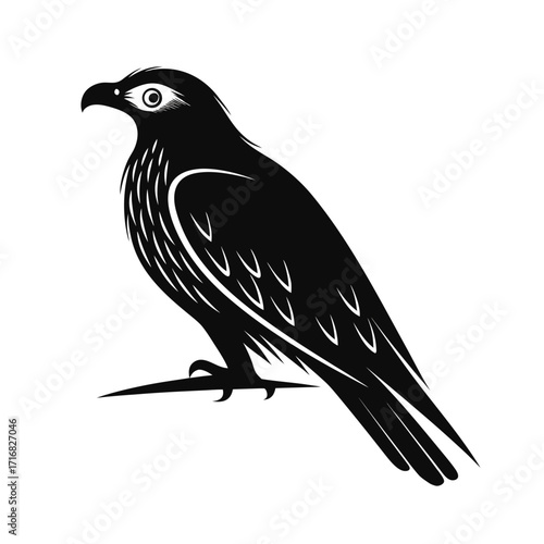 Elegant silhouette of a raptor bird perched alertly