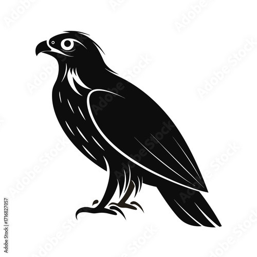 Alert raptor bird silhouette elegant perched
