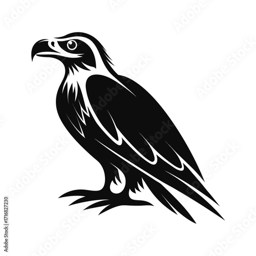 Alert raptor bird silhouette in striking pose