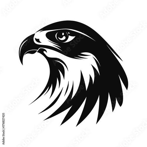Majestic raptor bird soaring above bold silhouette