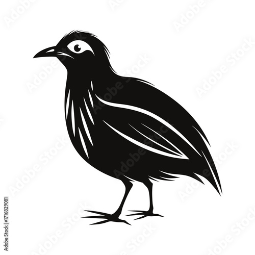 A small flightless bird standing quietly with bold s