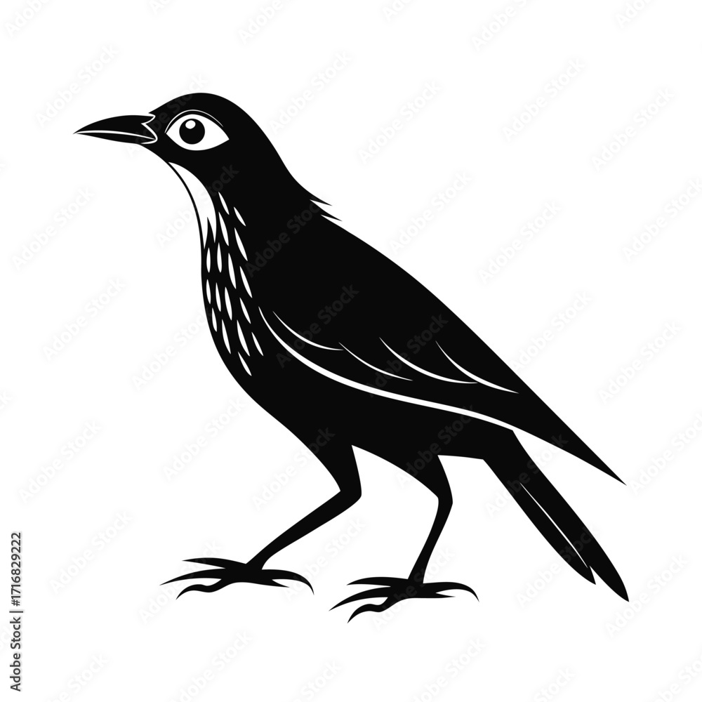 Naklejka premium Small flightless bird walking silhouette