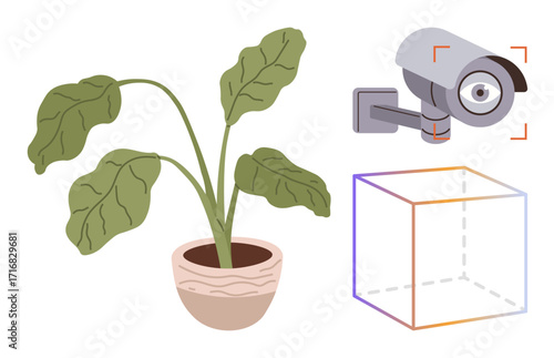 Potted plant with broad leaves beside a surveillance camera and transparent 3D cube outline. Ideal for nature, privacy, security, technology, growth, innovation, sustainability. Simple flat metaphor