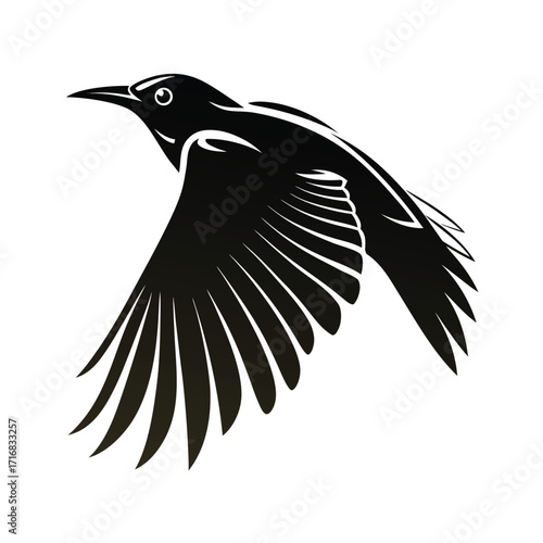 Detailed silhouette of a starling in mid air flight