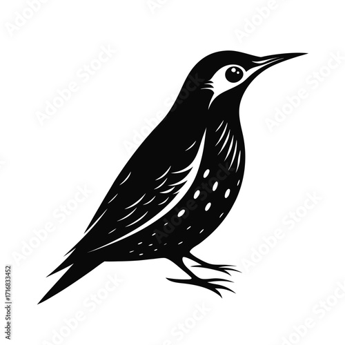 Detailed silhouette of a starling bird in flight