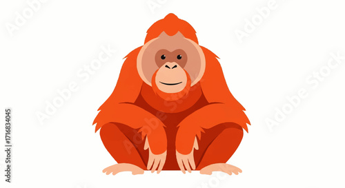 Adorable orangutan sitting patiently isolated on white background awaiting a friendly interaction
