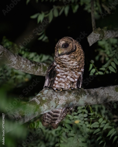 Carlos Maximiliano Cagel