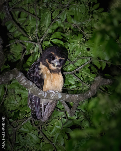 Carlos Maximiliano Cagel