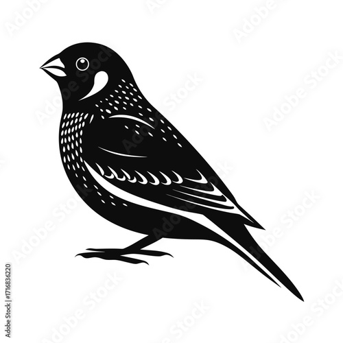 Fotografía Elegant silhouette of a zebra finch perched quietly