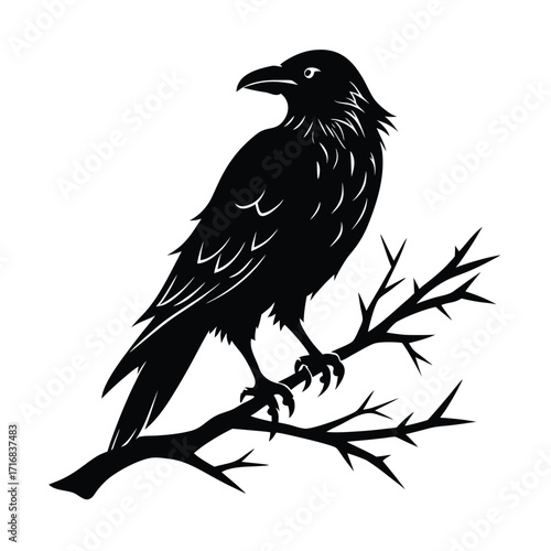 Crow perched on a jagged branch with a slightly turned head