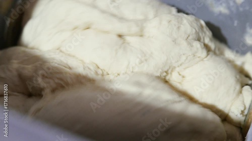 Close-up shot of a dough mixer mixing a pizza dough. Making pizza day. Preparing a pizza.