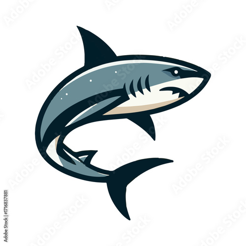 
shark illustration design