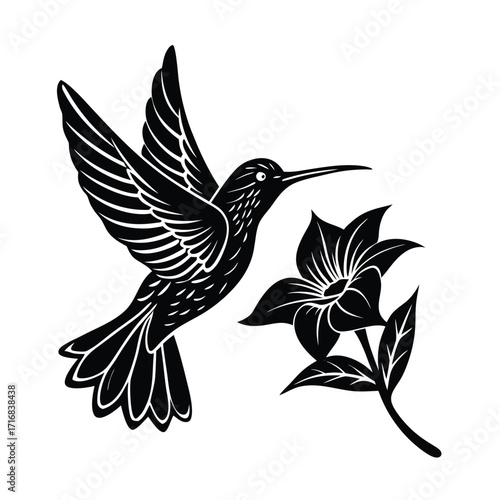 Hummingbird hovering near flower with angled wings