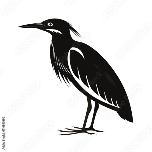 Camouflaged bittern bird silhouette standing still