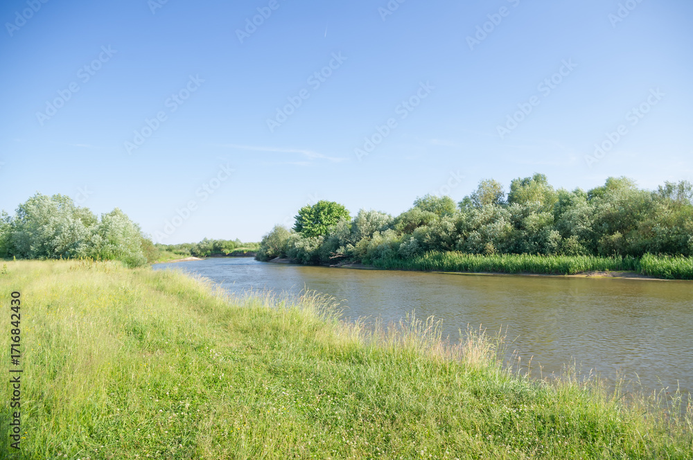 Fototapeta premium Coast of the summer river.