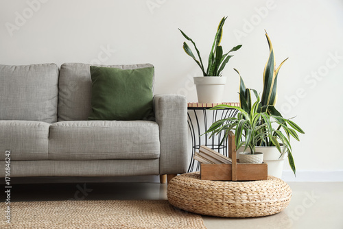 Fototapeta Interior of living room with green houseplants, sofa and table