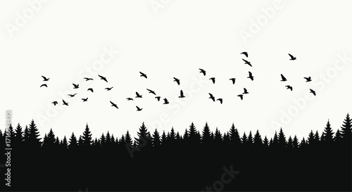 Silhouette of forest trees and flying birds against a light background creating a peaceful scene effect