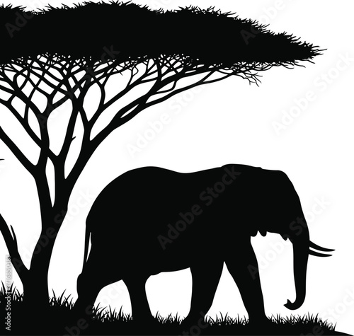 Silhouette of an elephant standing near a tree with grass in a black and white african savanna scene