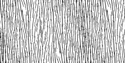 Tree bark texture