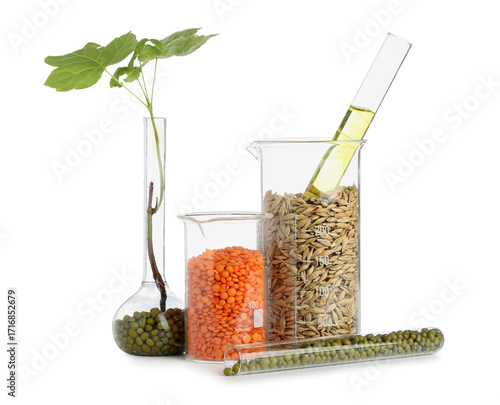 Plant sprout with different...