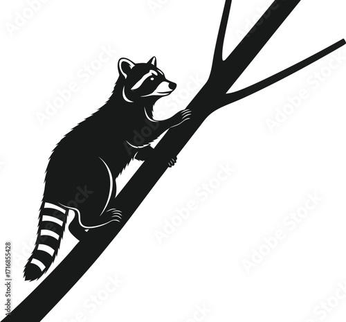 Illustration of a raccoon climbing a tree branch with its striped tail visible in black and white style