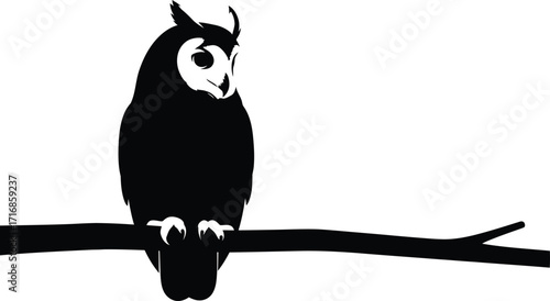 Silhouette of an owl perched on a branch with its distinctive features clearly visible in black and white