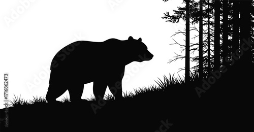 Silhouette of a bear walking on a grassy hill near a dark forest with tall trees in black and white
