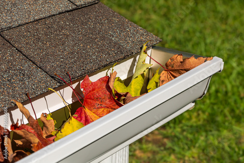 Closeup of house rain gutter clogged with colorful leaves falling from trees in fall. Home maintenance, yardwork and roof damage concept