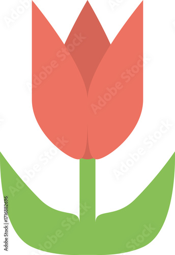 Red Tulip Flower Illustration