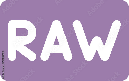 RAW Image Format