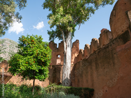 Kasbah fortress walls and orange tree in Chefchaouen, Morocco