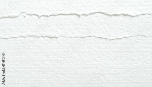 Wallpaper Mural White Torn Paper Texture Background Torontodigital.ca