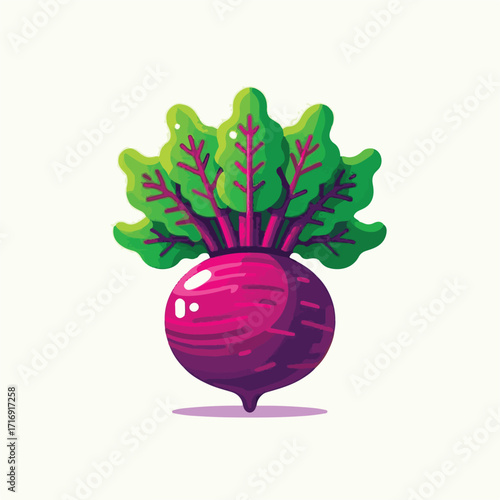 root, beetroot, vegetable, organic, food, beet, red, fresh, healthy, ripe, vegetarian, natural, leaf, ingredient, plant, background, green, raw, closeup, isolated, whole, cut, purple, vegan, sweet, ha