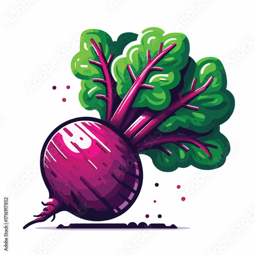 root, beetroot, vegetable, organic, food, beet, red, fresh, healthy, ripe, vegetarian, natural, leaf, ingredient, plant, background, green, raw, closeup, isolated, whole, cut, purple, vegan, sweet, ha