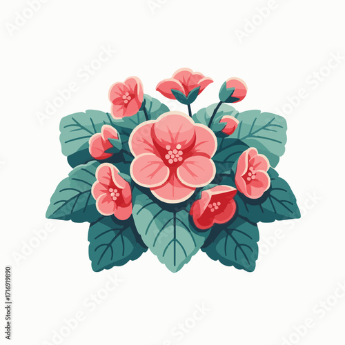 flower, floral, nature, begonia, plant, blossom, garden, background, spring, leaf, botanical, colorful, petal, flora, bouquet, summer, bloom, decoration, art, pattern, isolated, illustration, pink, bo