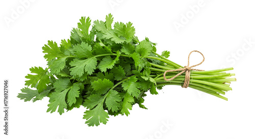 Obraz na płótnie parsley isolated on white background