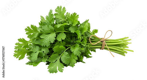 parsley isolated on white