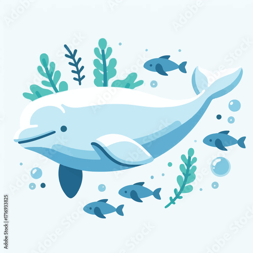water, animal, mammal, nature, wildlife, marine, ocean, sea, whale, beluga, underwater, beluga whale, wild, white, arctic, life, aquatic, swimming, beautiful, dolphin, swim, background, friendly, aqua