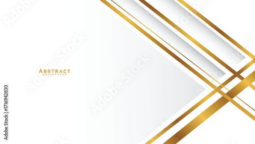 White background with elegant golden lines, use for template or cover. Elegant premium white background. vector illustration