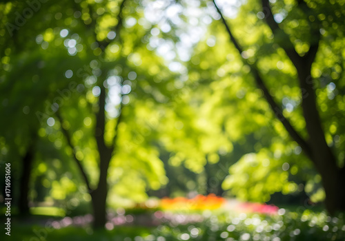 Fototapeta Naklejka Na Ścianę i Meble -  Blur green park garden outdoor background blurry tree nature with bokeh light background Blur nature park in spring and summer