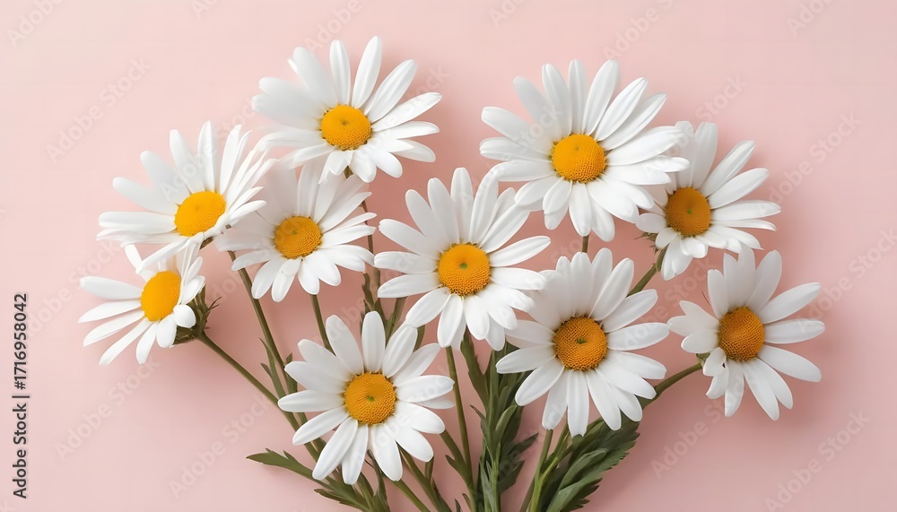 Fototapeta premium Delicate Daisies on a Pastel Pink Background: A Floral Still Life