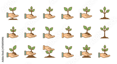 Hands Nurturing Seedlings A Symbol of Growth and Sustainability.