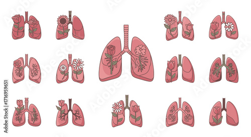 Lung Health Conditions Illustrated.
