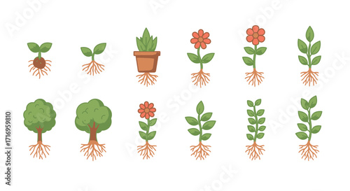 Plant Growth Stages Icons Set Vector Illustration.