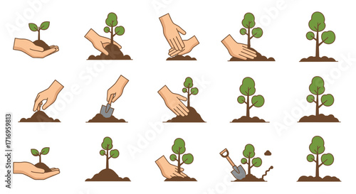 Planting a Tree A StepbyStep Guide to Nurturing Growth and Environmental Stewardship.
