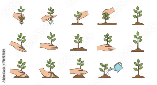 Planting Seedling Growth Stages Hand Care Watering Icon Set.