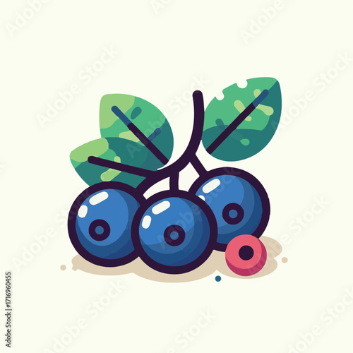 fresh, bilberry, berry, blueberry, background, food, blue, ripe, leaves, healthy, fruit, raw, dessert, delicious, sweet, closeup, juicy, huckleberry, white, tasty, wild, diet, organic, ingredient, gro